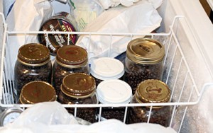 Storing Coffee beans in the freezer